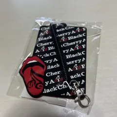 【Acid Black Cherry】ツアー 限定☆パスケース 値下げしました!!Acid Black Cherry パスケース - メルカリ