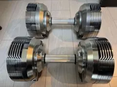 プロバーベル 23.5kg PROVERBELL 可変式ダンベル その②のサムネイル