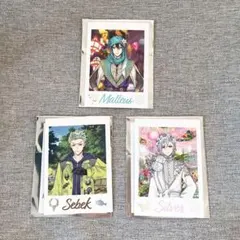 【3点セット】ツイステ展 ランダムカードコレクション マレウス シルバー セベク