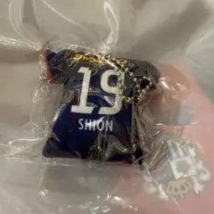 ♦︎新品タグ付き♦︎ 8 乾貴士　Lサイズ　セレッソ大阪　ユニフォーム 乾貴士選手プレイヤーズグッズ受注販売のお知らせ | セレッソ