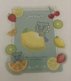 Jochum(ジェオチャム) シークレット硬貨カードケース＆カード ヤヌカミ