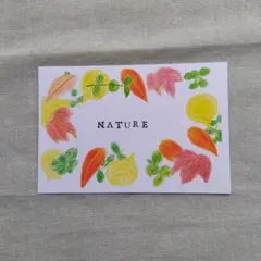 手描き ポストカード NATURE
