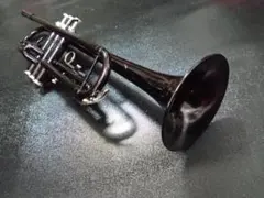 2025年最新】トランペット本体の人気アイテム - メルカリ