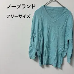 ☆一点もの☆ レディース 花柄刺繍 Vネック長袖ニット ターコイズ