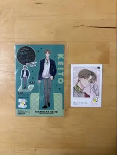 多聞くん今どっち！？ ペーパーフィギュア ミニフォトカード アニメイト 橘敬人