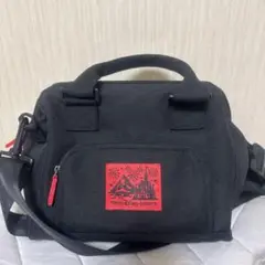 〈Dinsey〉ディズニーリゾート柄 ショルダーバッグ〈極美品〉