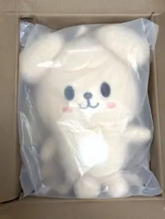 トレカなし パピーム スンミン SKZOO バックパック