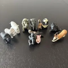 動物 フィギュア まとめ売り 11体セット