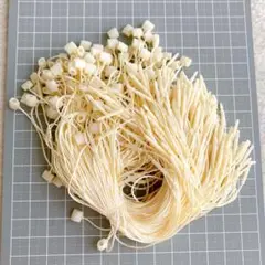 ☘️ハングタグ ストリング スナップロック ピンループ プライスタグ ファスナー