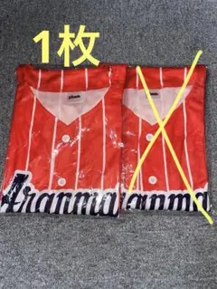 アランマーレ山形　ベースボールシャツ1枚