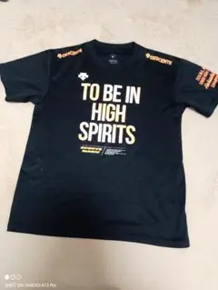 DESCENTE　デサント 2016年全日本中学校北信越大会シャツのサムネイル