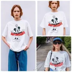 ⭐︎タグ付⭐︎ Disney collection / WCJ ディズニー　ミッキーのサムネイル