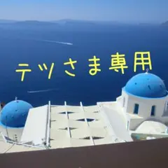 テツさま専用