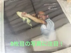 2025年最新】ダッチマン サカナクションの人気アイテム - メルカリ