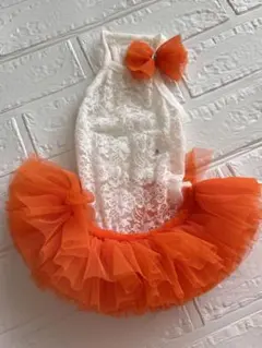 Item thumbnail for item d5c356db-8120-4983-bad1-bb8b2dd55f52