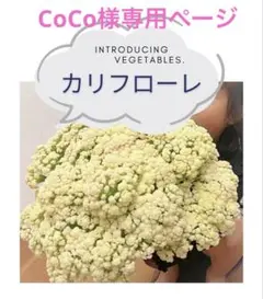 CoCo様専用ページ