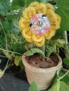 ひまわり あみぐるみ 鉢植え - メルカリ