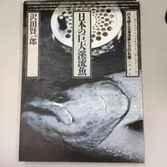 送料込み 貴重 沢田賢一郎 直筆サイン フライフィッシングのすすめ 1993年 Amazon.co.jp: X32『フライマンの世界』フライフィッシングの