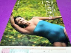 ANA 全日空 キャンペーンガール 松本孝美 広告 切り抜き 昭和レトロ