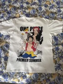 (値下げ)ワンピース プレミアサマー Tシャツ Mサイズ