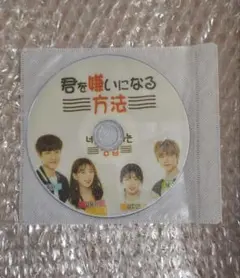 韓国ドラマ DVD 君を嫌いになる方法