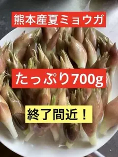 みょうが　薬味　野菜　農薬不使用　農家直送　香味野菜のサムネイル