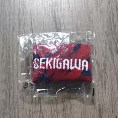 Item thumbnail for item 4e420bae-9514-4748-bbac-56a56030237a