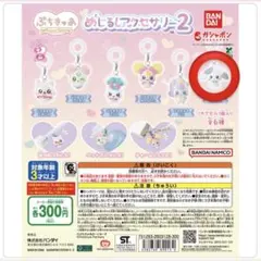 めじるしアクセサリー ぷちきゅあ