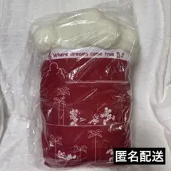 ディズニー　クッション　ポップコーン　TDR 新品未使用　パークフード