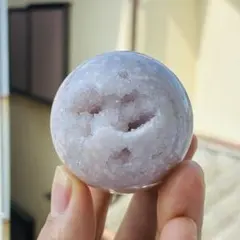アズテキウム 花籠 2.5号ポットつき 破格3株セット❗ ④ - メルカリ
