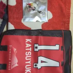 北海道コンサドーレ札幌＃14田中克幸2点