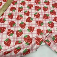 ポリエステル裏毛ニット生地