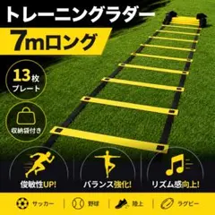 ラダー トレーニング 子供 サッカー バスケ 瞬発力 基礎 スポーツ 7mのサムネイル