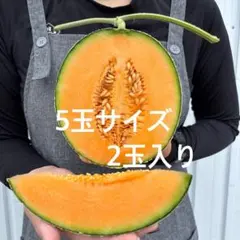 北海道赤肉ハウスメロン5ー1のサムネイル