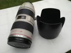 カビ・曇りあり】Canon EF 70-200mm f/2.8L USM - メルカリ