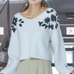 マーキュリーデュオ　モール刺繍Vネックニット