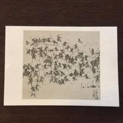 Item thumbnail for item 91c4c952-3b9d-47ef-a7e6-da1bf27316c7