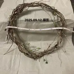 あさがお　リース　自然素材 25cm〜26cm ハンドメイド　材料