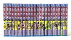 ジョジョリオン1〜27巻 STEEL BALL RUN 1〜24巻 全巻セット - メルカリ