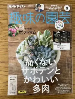 Item thumbnail for item abbfb39a-85eb-4c20-a151-d3018182a0bc