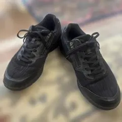 ミズノ ウォーキングシューズ LDアラウンド2 GTX ゴアテックス 25 黒