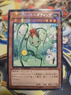 2026年最新】ナチュル・ローズウィップの人気アイテム - メルカリ