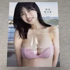 井上晴美 ポスター A3サイズ 付録 二つ折り m40210 - メルカリ