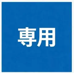 ポン様 リクエスト 2点 まとめ商品