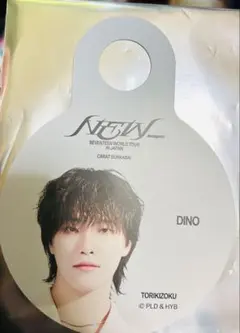 SEVENTEEN 鳥貴族 ディノ