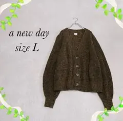 《a new day》ニットカーディガン(Ｌ) 手編み風 ゆるだぼ 長袖 ボタン