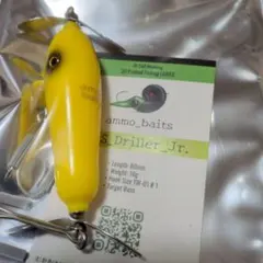 Item thumbnail for item c5731e2f-3be1-4d94-8050-77080377580d