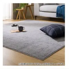 ニトリ Nクリーンウォッシュ 130×185のサムネイル