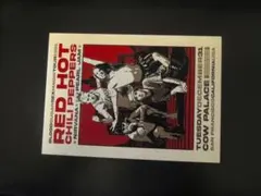 ②MELODY·MAKER　付録　両面ポスター　サウンドガーデン　レッチリ ②MELODY·MAKER 付録 両面ポスター サウンドガーデン レッチリ