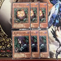 タートルたぬき様 リクエスト 2点 まとめ商品